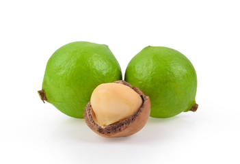 macadamia nuts on white background
