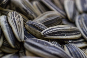 Close up image of sunflower seeds