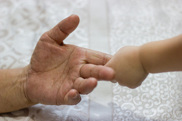 Hand  of a little baby girl holding a hand of a grown man