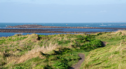 Panorama ile de Molène Finistère nord Bretagne France