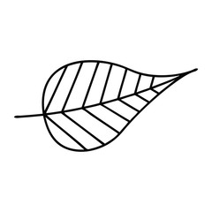line drawing cartoon green leaf