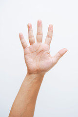 Man hand showing five fingers on white background.