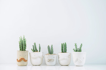 Succulents or cactus in clay pots plants in different pots. Potted cactus house plants on white shelf against white wall.