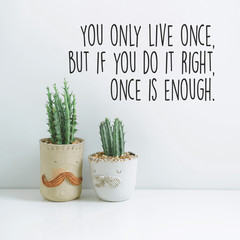 Inspirational quote "You only live once, but if you do it right, once is enough". Cactus in clay pots over white background
