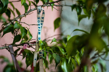 bonfim's amulet