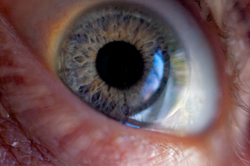 eyeball macro