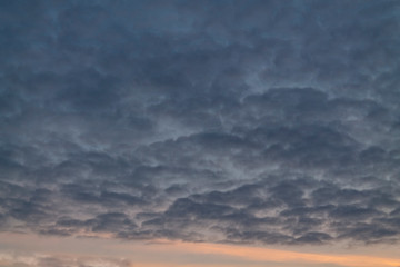 Obraz premium cirrus clouds at sunset 