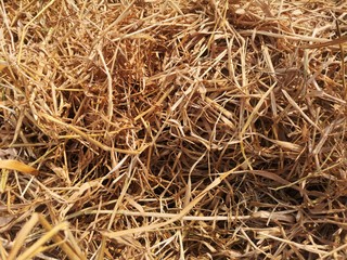 Hay stack pattern background timothy bent