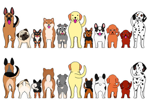 large and small dogs border set