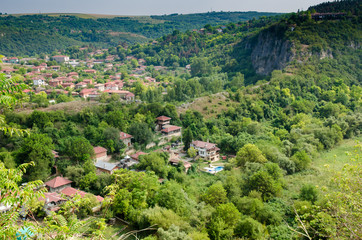 Fototapeta na wymiar Vineyards along Danube river in North East Bulgaria