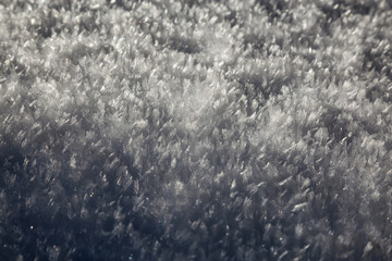 Close up picture of Crystal Snowflake during a sunny winter day. Taken in British Columbia, Canada.