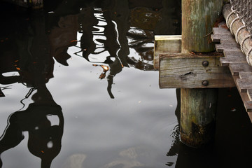 pier with shadows on lake