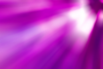 purple gradient background / beautiful purple color abstract background / empty room studio background