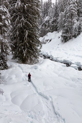 Snowshoeing in the snow during a white winter day. Taken on a hike to Alexander Falls, near Whistler and Squamish, North of Vancouver, BC, Canada.