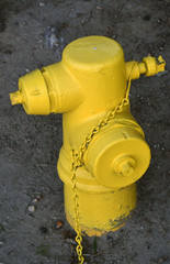 all hydrants should be yellow