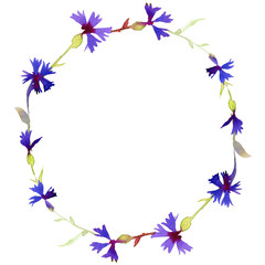 Obraz premium Watercolor Floral Wreath made of Cornflower, chamomile and leaves. Botanical Floral Decoration Texture. Wedding Decoration or card design Isolated on White.