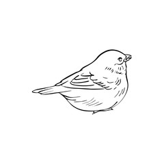 bird at tree branch