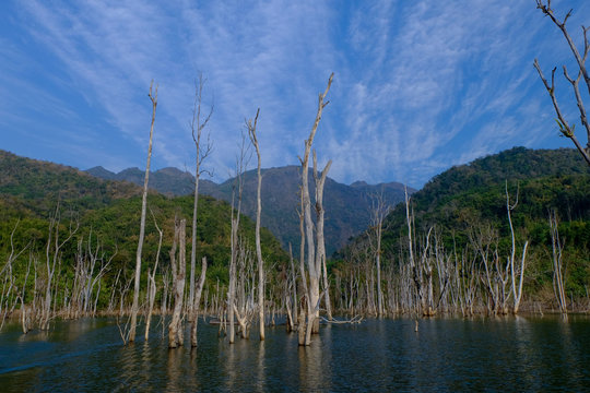 Running Clouds Images Browse 13 Stock Photos Vectors And Video