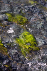 View of colorful grass in a river of natural Hot Springs at Hot Creek Geological Site. Located near Mammoth Lakes, California, United States.