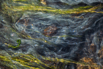 View of colorful grass in a river of natural Hot Springs at Hot Creek Geological Site. Located near Mammoth Lakes, California, United States.