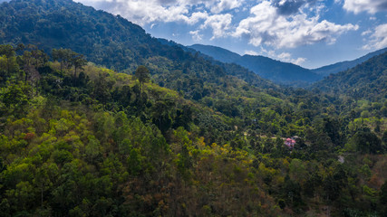 Fototapeta na wymiar Arial shot of jungle forest with a pink house. Drone view of National park and Wildlife mountains. Beautiful place for camping. Drone above the tropical trees. Jungle hiker outdoor landscape in Thai.