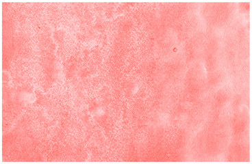Pink designed grunge paper texture, watercolor background.