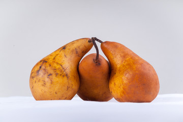 Peary Love Triangle