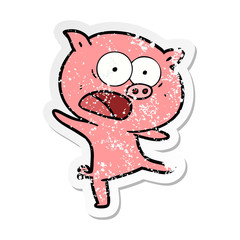 distressed sticker of a cartoon pig shouting