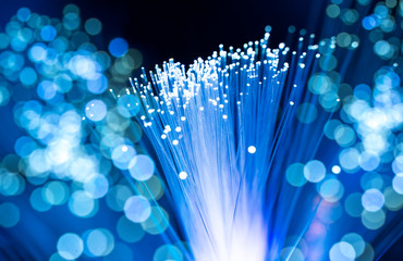 fiber optical network cable