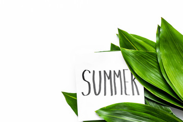Summer concept. Hand lettering text summer near green leaves on white background top view copy space