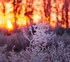 sunrise on a frosty winter morning
