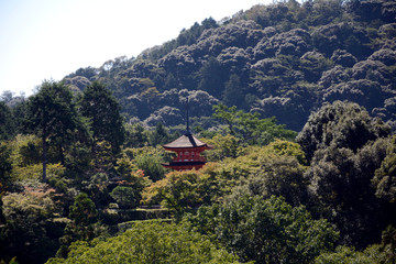 Fototapeta na wymiar Kiyomizu Buddhist temple, Kyoto, Japan
