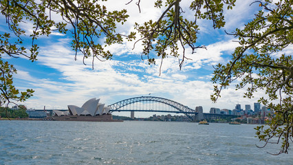 Sydney Bridge and Operahouse