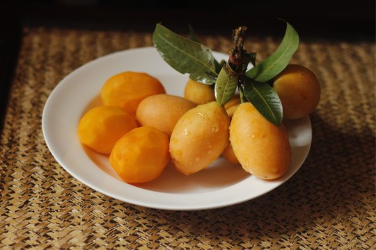 Thai Plango in white plate On Wood table. Select focus.