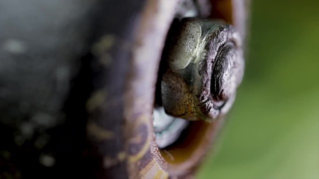 Dolly shot of a skateboard wheel turning close up. Lock nuts on a truck holding a spinning back skateboard wheel. Extreme sport equipment and transportation. 