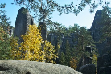 Fototapete bei efototapeten.de bestellen   