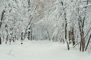 The park is surrounded by snow drifts after a heavy snowfall, a beautiful landscape on a winter day