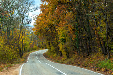 Fototapeta premium Car winding road in the mountains on an autumn afternoon