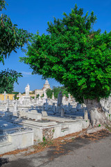 Havana, Cuba - 08 January 2013: The cemetery of Havana in Cuba.