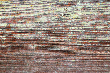 fir board with weathered paint layer
