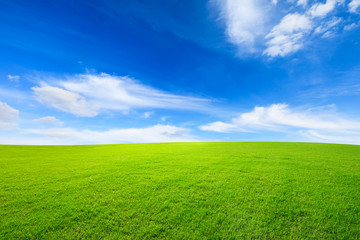 Fototapeta na wymiar Green grass and blue sky with white clouds