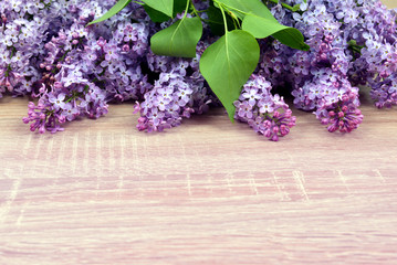 Blooming lilac flowers with green leaves on wooden board.