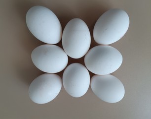 eggs on a white background