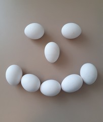 eggs on white background