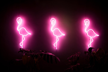 Tropical blurred flamingo birds in purple neon light on black background. © mariiaplo