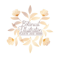 botanical illustration label with plants and herbs