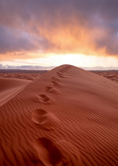 Amazing sunrise over the dunes Erg Chebbi in the Sahara desert near Merzouga, Morocco , Africa. Beautiful sand landscape with stunning sky. Steps in the sand