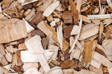 Textured background of scattered big wood chips of different shapes and colors