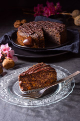 juicy poppy seed cake with apples and chocolate glaze