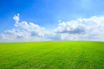 Green grass and blue sky with white clouds
